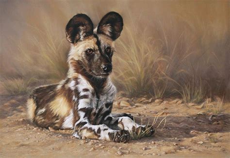 Pin By Gerhardf On Art Animals Wild Dogs African Wild Dog Wildlife