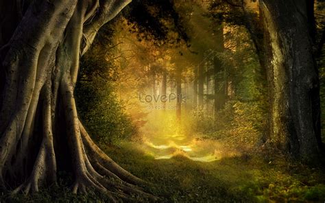 Dream Forest Scene Creative Imagepicture Free Download 400760445