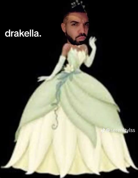 Sassy Drake Drake Funny Drake Meme Drake Photos