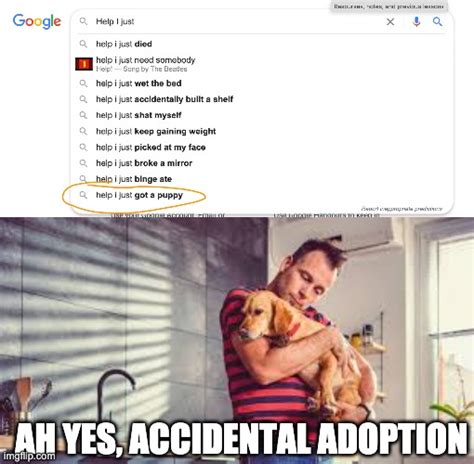 Surprise Adoption Meme The W Guide 5cb
