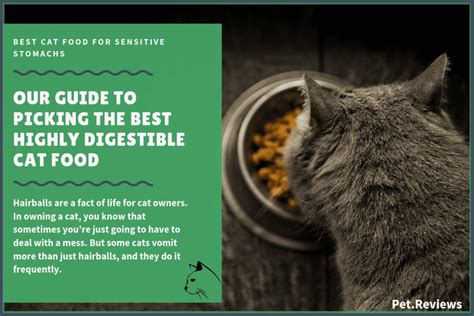 What is the best cat food for sensitive stomachs and digestive problems? 11 Best (Highly Digestible) Cat Foods for Sensitive ...