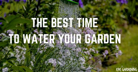 If your area isn't getting natural precipitation, you may need to water with. When is the Best Time to Water Your Garden?