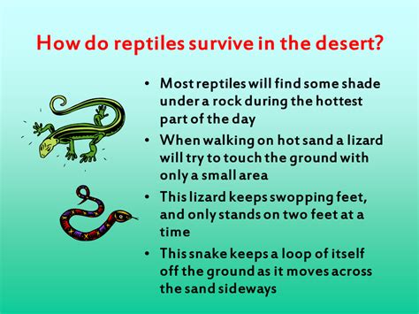 This means that the way they look, the way they behave, how they are built, or their way of life makes them suited to survive and reproduce in their habitats. How do these adaptations help?