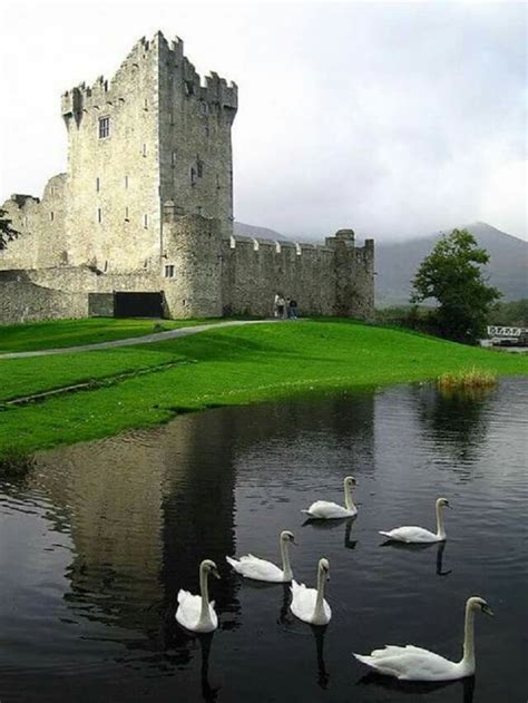 Ross Castle Near Killarney Ireland Places To See Places To Travel