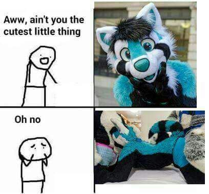 How Everyone See S The Furry Fandom And I Have To Say This Be Somewhat