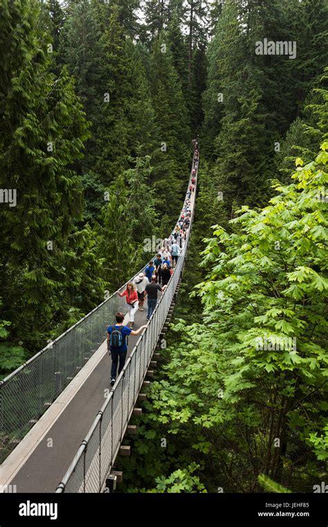 tourists walking across the suspension bridge capilano suspension bridge park vancouver