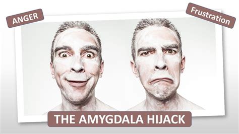 The Amygdala Hijack Anger Management Rapport Building Keeping Calm