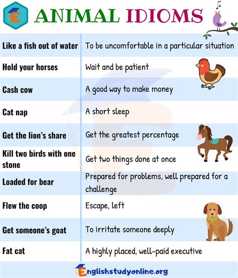 10 Useful Animal Idioms In English With Their Meaning English Study