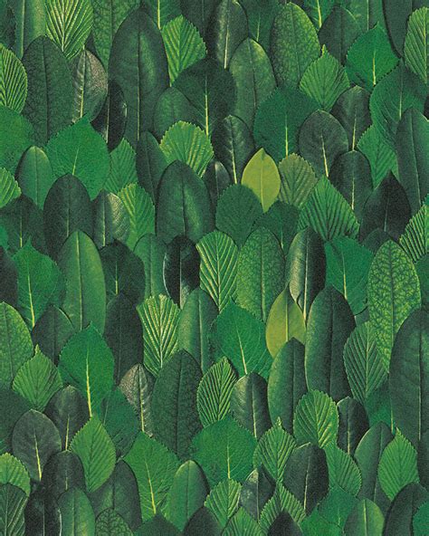 Non Woven Wallpaper Leaves Floral Green 31735