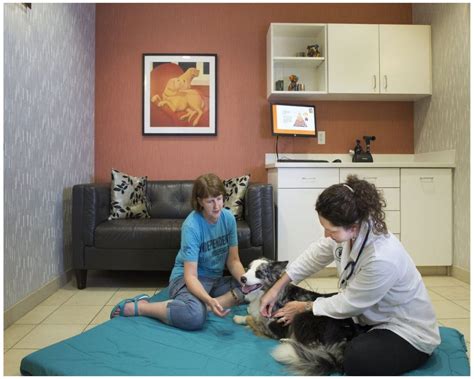 Veterinary medicine bldg, 2015 linden dr, мадисон, wi 53706, usa. VVC acupuncture | Pet clinic, Veterinary clinic, Clinic design