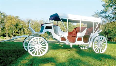 Carriage Limousine fleet increases by 2 | News, Sports 