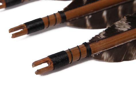 Longbowmaker 12 Pk Eagle Feathers Bamboo Target Archery Arrows