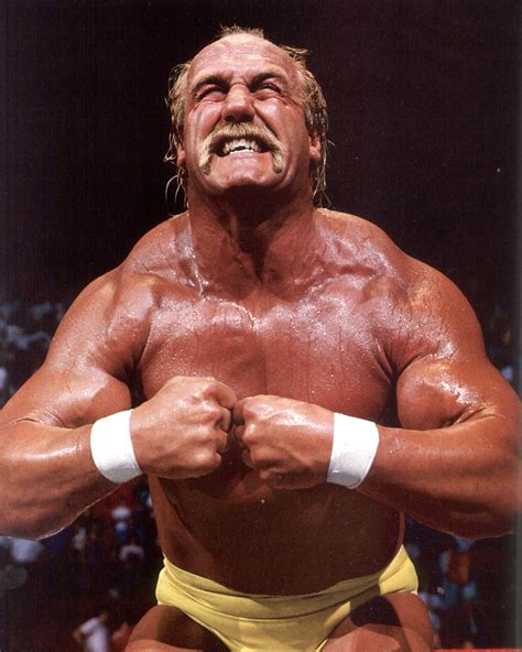 Hulk Hogan Muscles