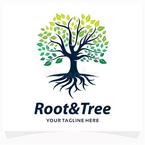 Root And Tree Logo Design Template Stock Vector Illustration Of