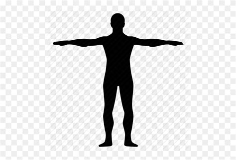 Human Body Icon Png Png Image Human Body Png Flyclipart