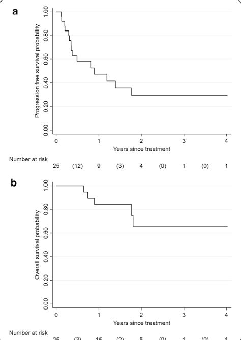 A Kaplan Meier Curve For Progression Free Survival B Kaplanmeier Curve