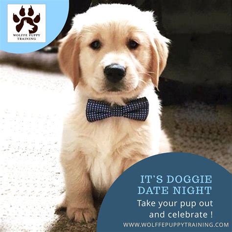 National Golden Retriever Day and Doggie Date Night - Feb 3 | Puppy