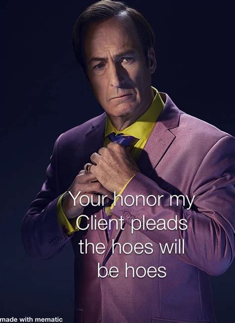 your honor my client pleads the hoes will be hoes made with mem ifunny