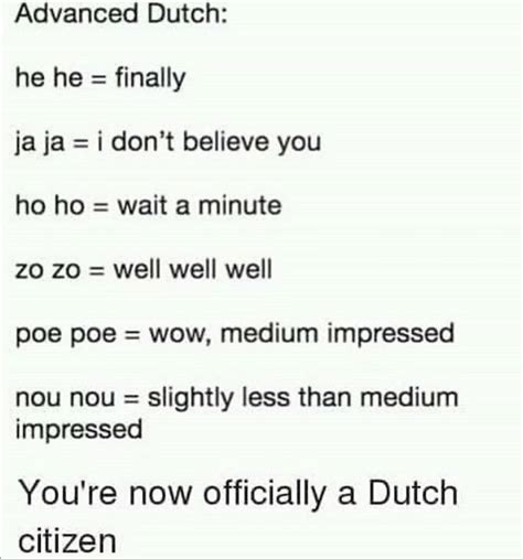 This Is All There Is To Learn About The Dutch Language Rmemes