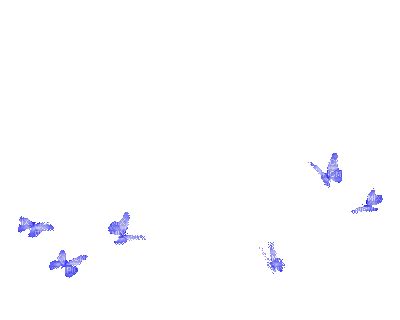 Browse and download hd butterfly png images with transparent background for free. aze papillon bleu tube gif deco glitter animation animé ...