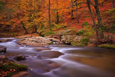 Forest Turkey Bursa Tree Water Autumn Landscape River Wallpapers