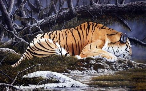 Ray Whitson Bengal Pride Bengal Bengal Tiger Wildlife Art