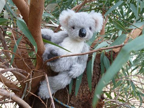 Kayzys Critters Teddy Bears In The Hills Kenneth The Koala Part 1