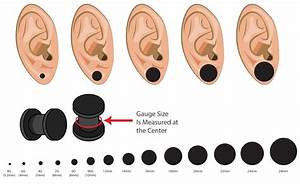 Ear Plug Sizes Chart Gauge Steve