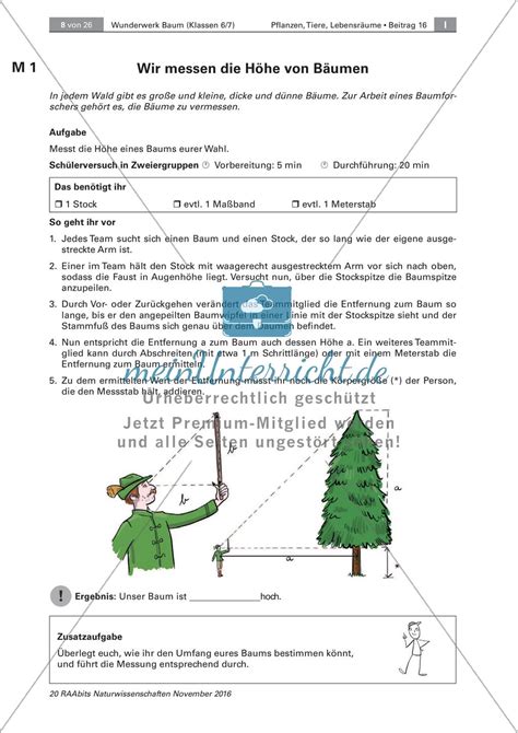 Der Baum Messen Der Höhe Artenkenntnis Bewohner Meinunterricht