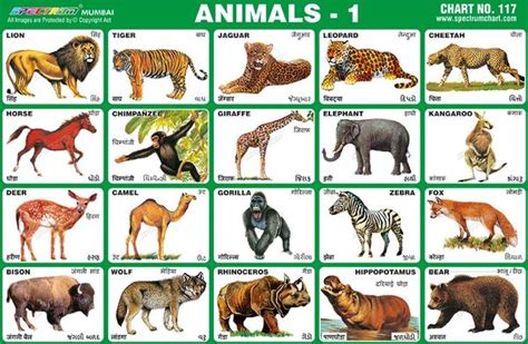 Sikkim Animals Chart With Name Spectrum Educational C