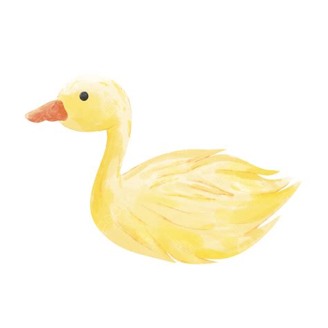 Swimming Yellow Duck Cute Water Animal Png Transparent Clipart Image