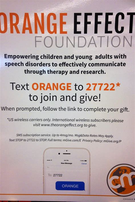 Go Big 4 The Orange Effect Foundation