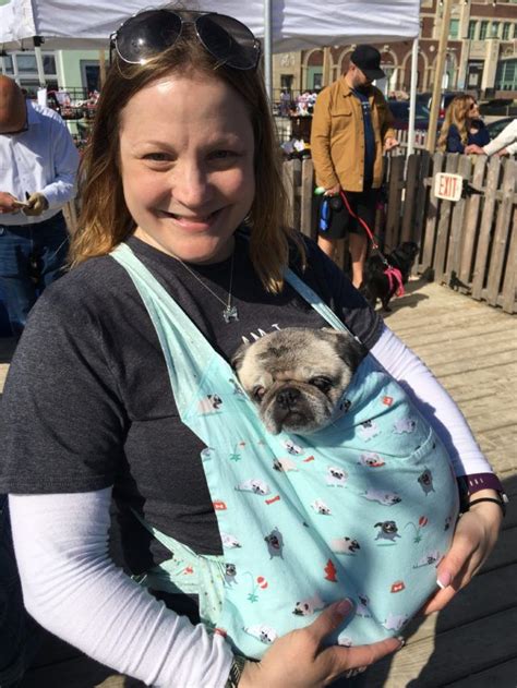 Teacher Adds Blind Rescue Dog To Her Pack Of Special Needs Pugs Pugs
