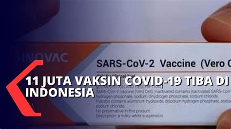 Peserta wajib membawa ktp dan kartu vaksinasi dosis pertama. 11 Juta Dosis Vaksin Sinovac Tiba di Indonesia - YouTube