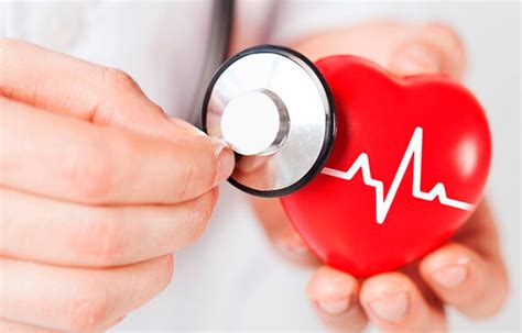 Saúde Do Coração 5 Dicas Para Cuidar Do órgão Metropolionline