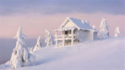 Wallpapers Hd Fir Tree Snow Covered Hut In Snow Field