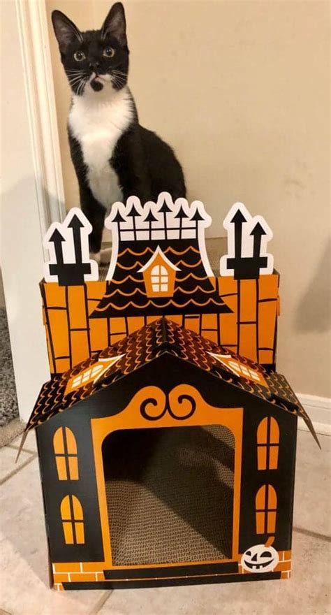 Target Is Selling Cardboard Haunted Mansions For Cats Cole And Marmalade