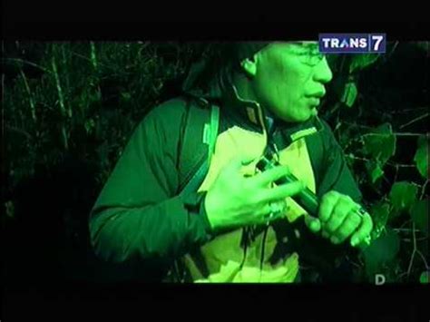 Jejak Jejak Misterius Eps Gunung Lawu Dinasti Terakhir Harimau Jawa Part 3 - YouTube