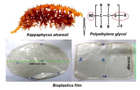 Scientists Develop Biodegradable Plastic From Marine Seaweed Ee Times