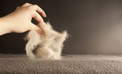 Since pet hair retains static electricity, it can become airborne, making it impossible to completely eliminate shed hair from your home. 10 Pet-Hair Removal Hacks That Will Change Your Life