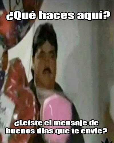 20 Memes De Buenos Días Para Compartir Y Descargar Imágenes Buenos Días