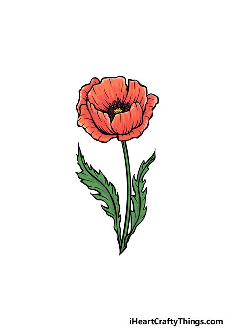 How To Draw A Poppy A Step By Step Guide Thcs Hồng Thái