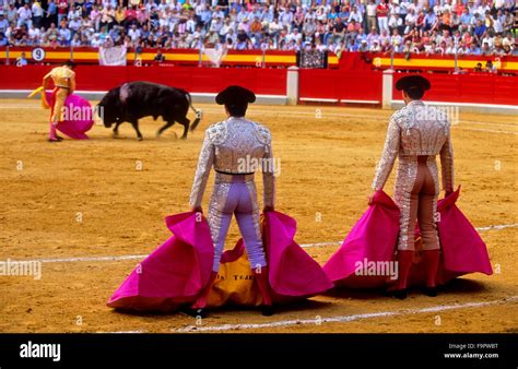 Stierkampf in der Plaza de Toros, Granada, Andalusien, Spanien, Europa