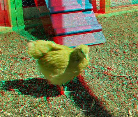 3d Images For 3d Glasses To See Ginger In 3d Anaglyph 3d