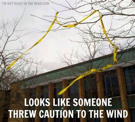 Throw Caution To The Wind Master Of Puns