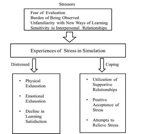 Conceptual Framework Nursing Students Experiences Of Stress In