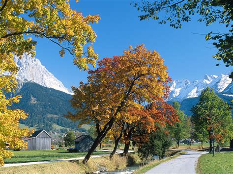 Ehrwald In Autumn Alps Tyrol Austria Picture Ehrwald In Autumn Alps