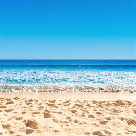Summer Tropical Background With Sand Sea And Sky Summertime Ca Stock