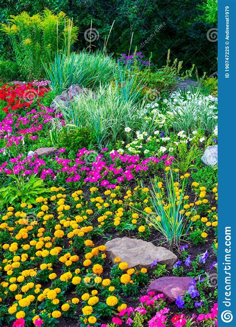 Beautiful Landscape Design In Public Garden In Summer Sunny Evening