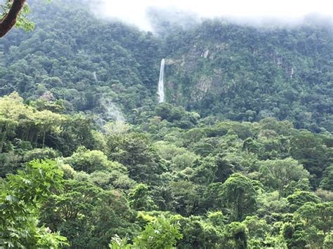 Why Pico Bonito Is My Favorite National Park In Honduras Honduras Travel